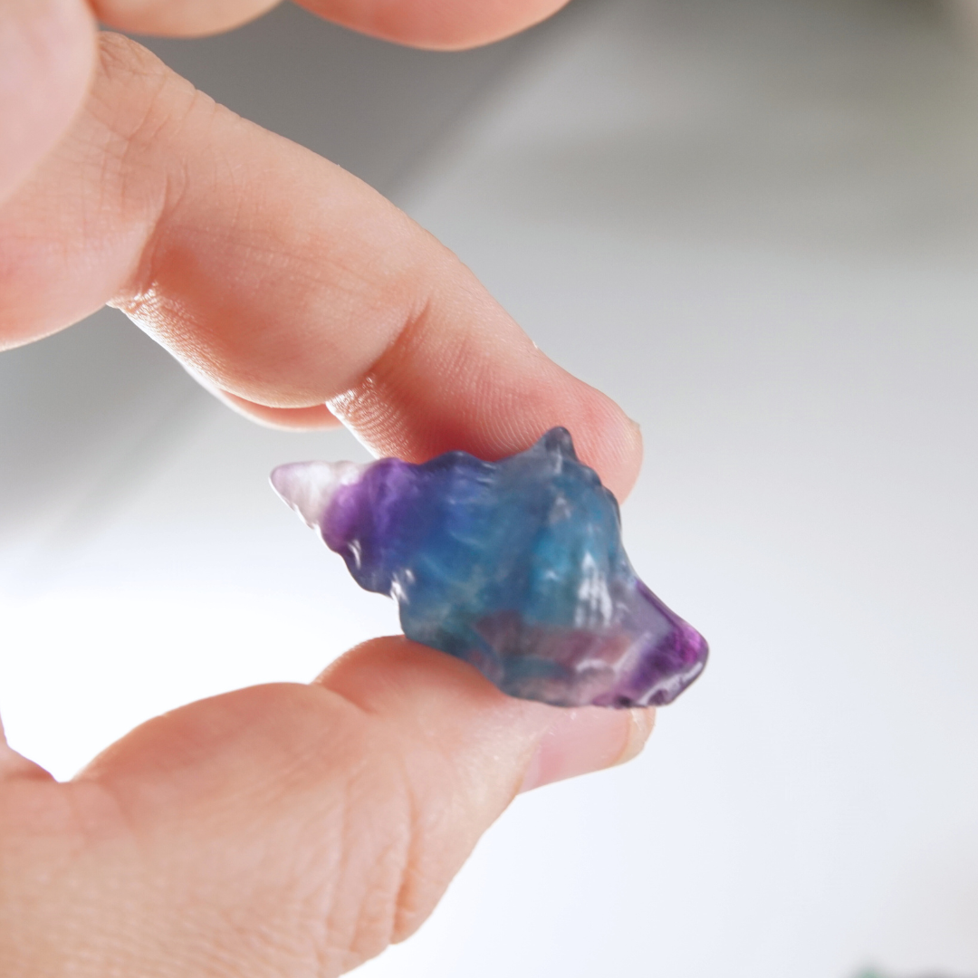 MINI Candy Fluorite Seashell Carving | Intuitively Chosen