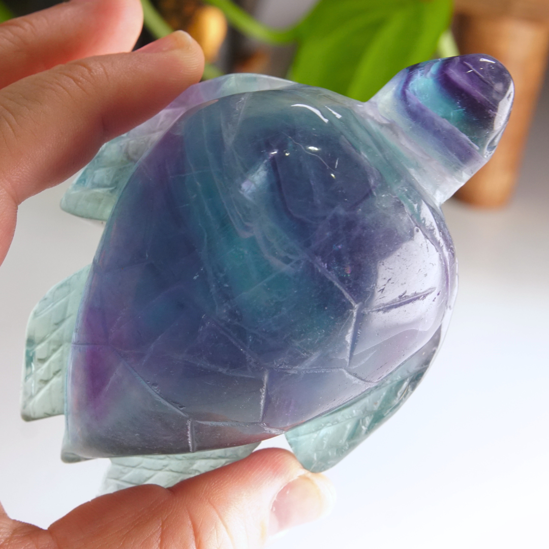 Rainbow Fluorite Turtle Carving | Pick Your Favorite