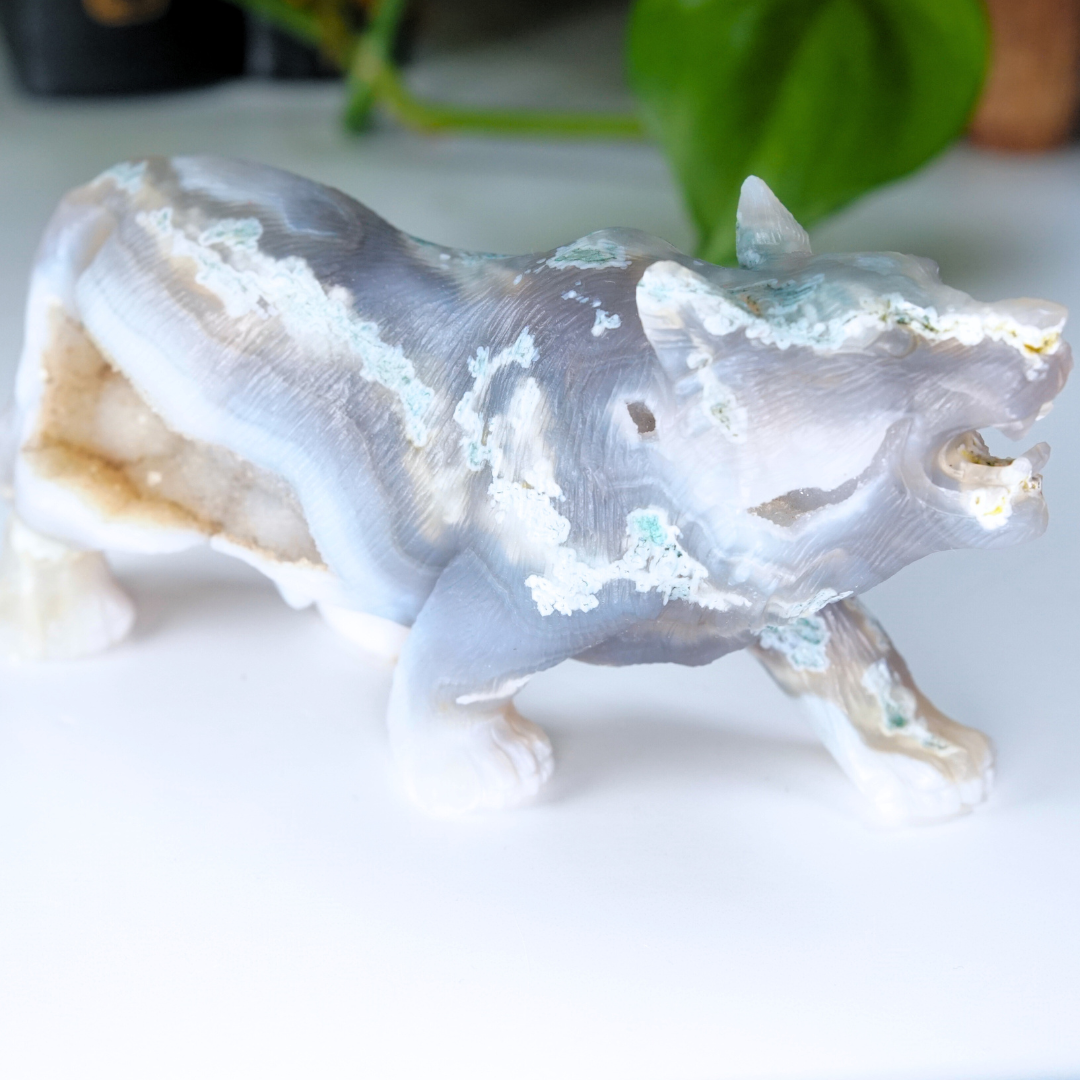 Druzy Moss Agate Boutique Wolf Carving | REPAIRED (Please See Notes)