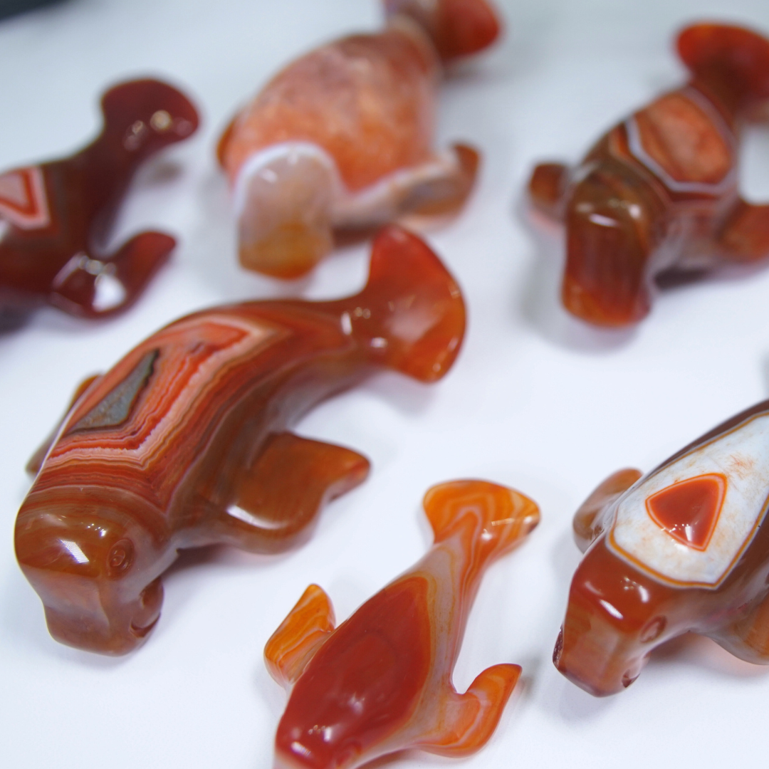 Carnelian Manatee Boutique Carvings