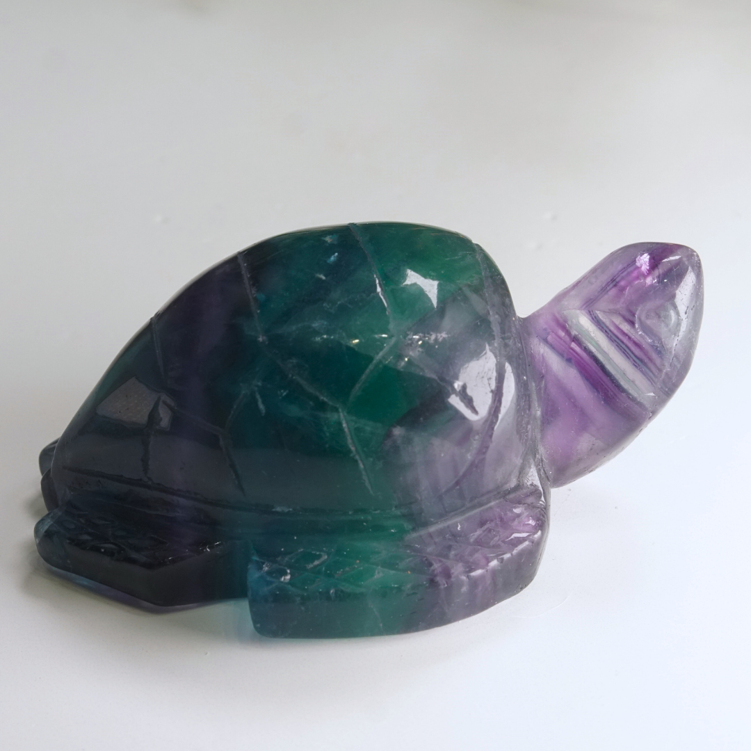 Rainbow Fluorite Turtle Carving | Pick Your Favorite (REPAIRED)