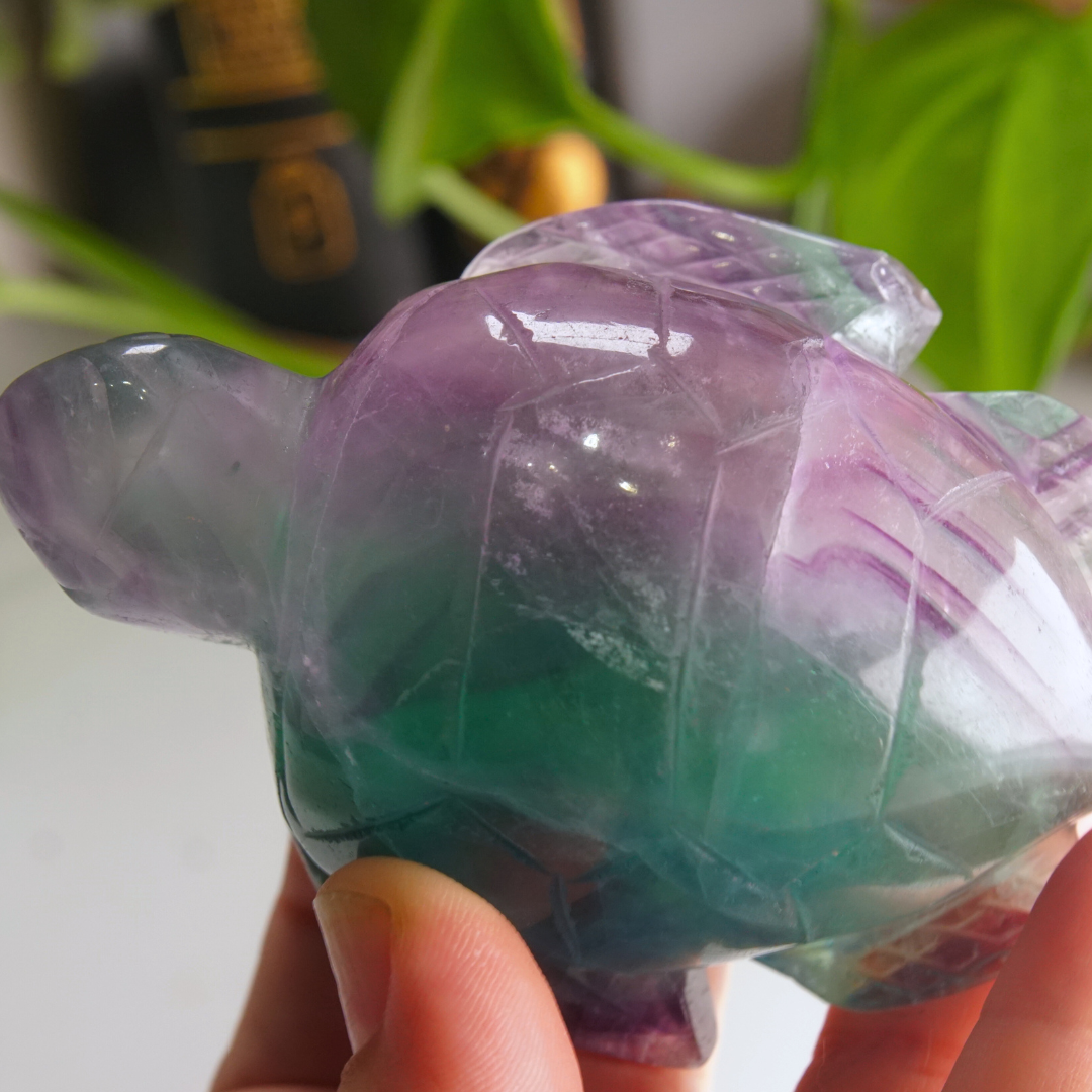 Rainbow Fluorite Turtle Carving | Pick Your Favorite