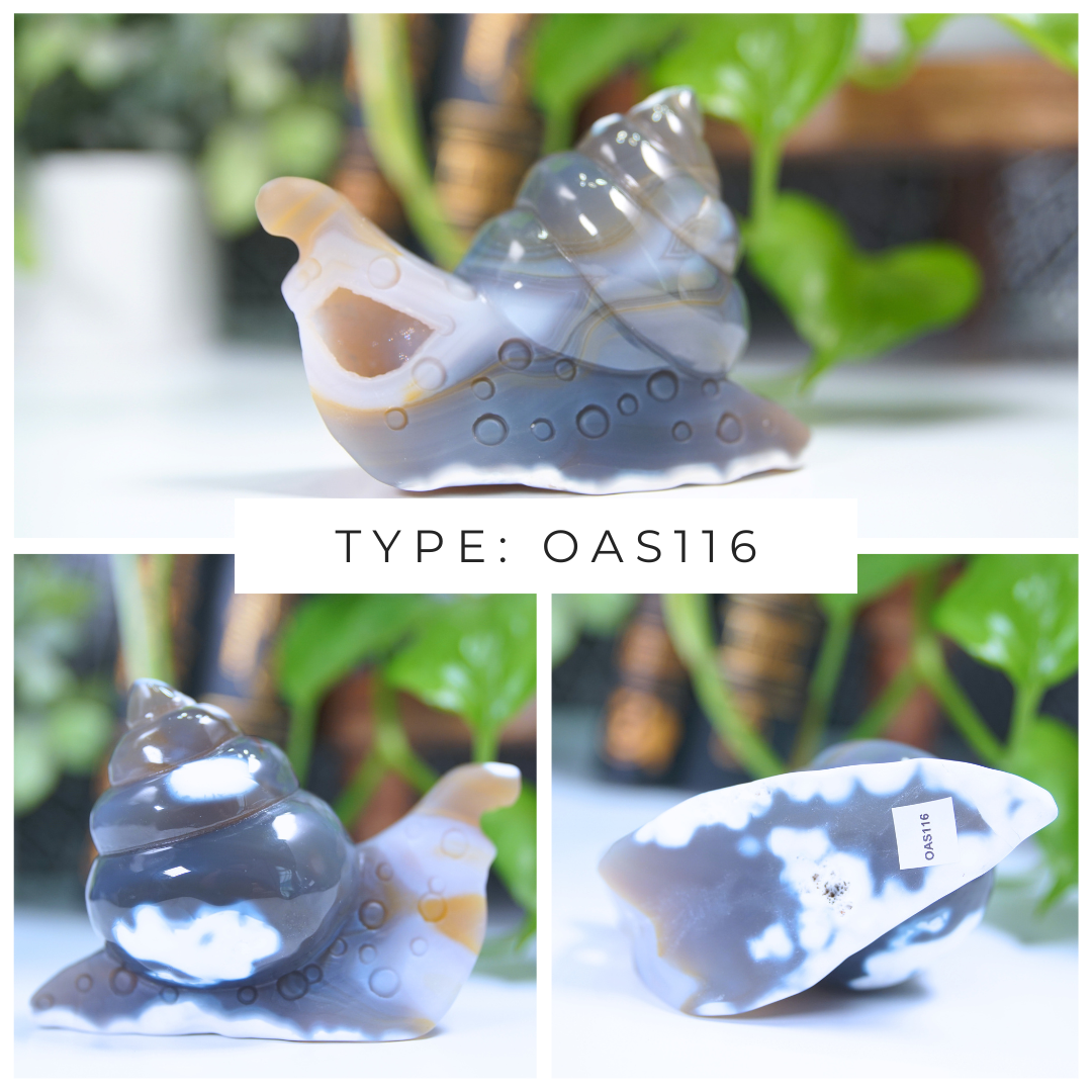 Orca Agate Snails Boutique Carvings