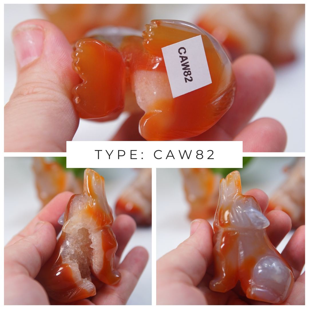 Druzy Carnelian Wolf Boutique Carvings