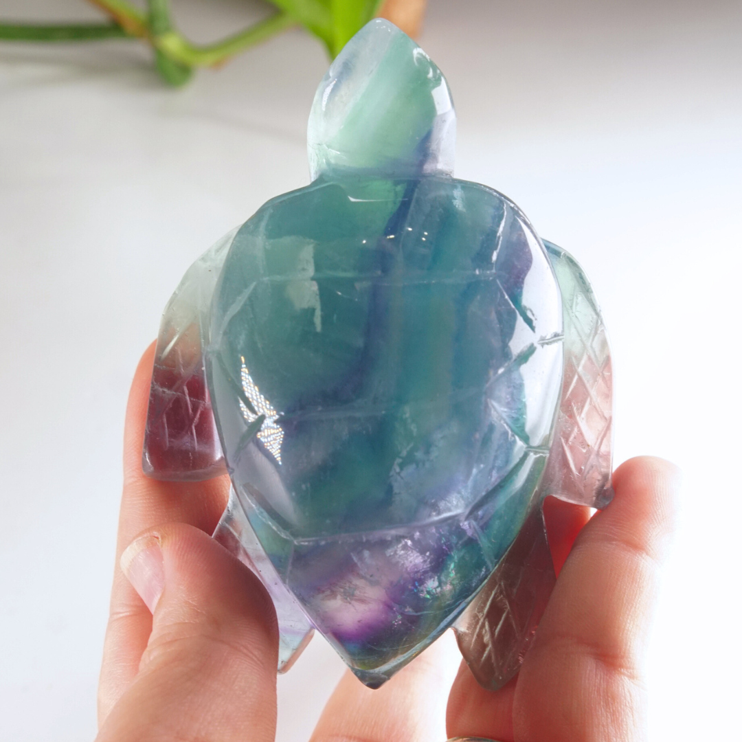 Rainbow Fluorite Turtle Carving | Pick Your Favorite