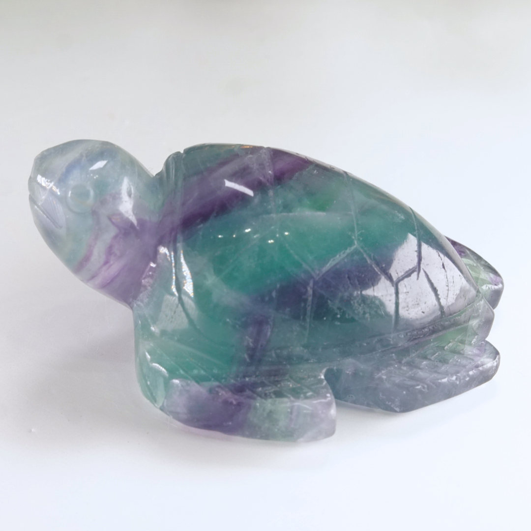 Rainbow Fluorite Turtle Carving | Pick Your Favorite