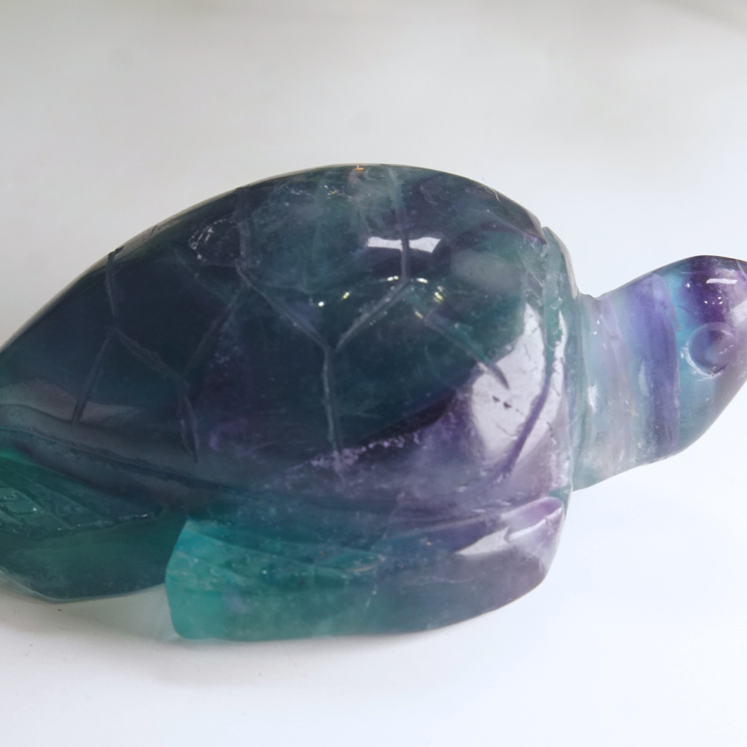 Rainbow Fluorite Turtle Carving | Pick Your Favorite