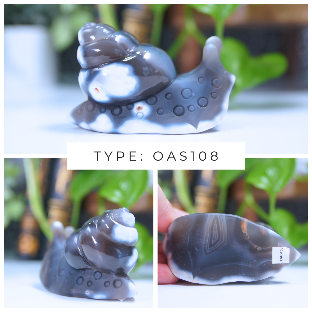 Orca Agate Snails Boutique Carvings