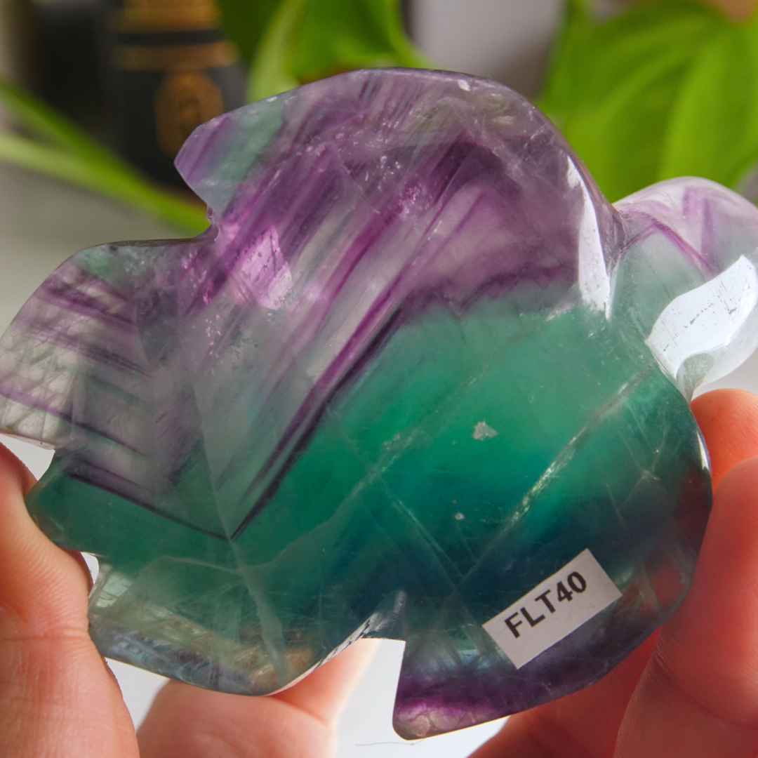 Rainbow Fluorite Turtle Carving | Pick Your Favorite