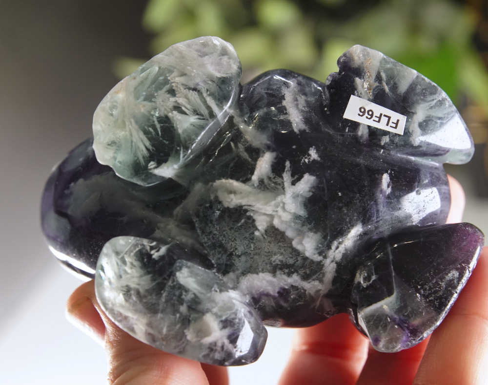 Rainbow Feather Fluorite Frog Carving | Pick Your Favorite