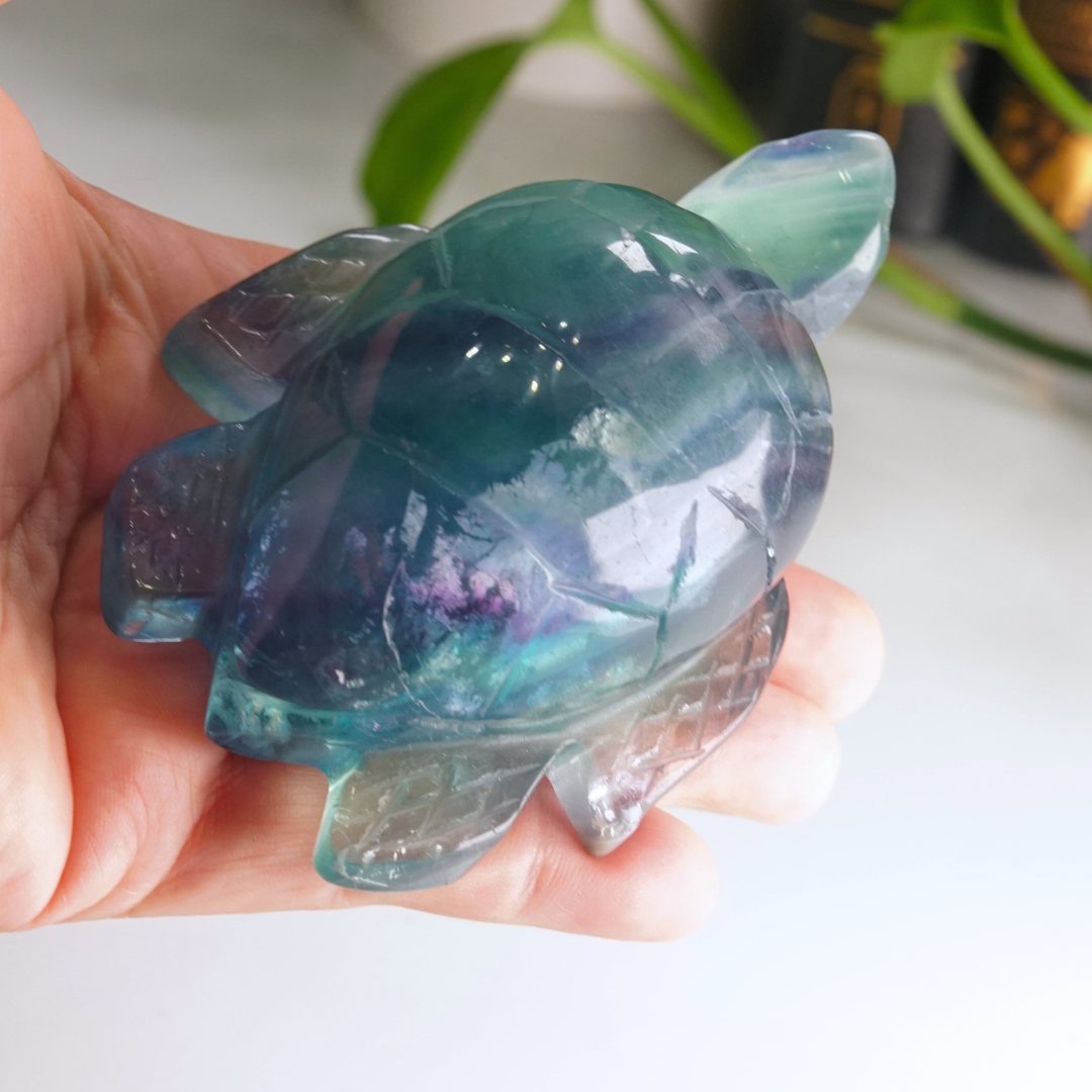 Rainbow Fluorite Turtle Carving | Pick Your Favorite