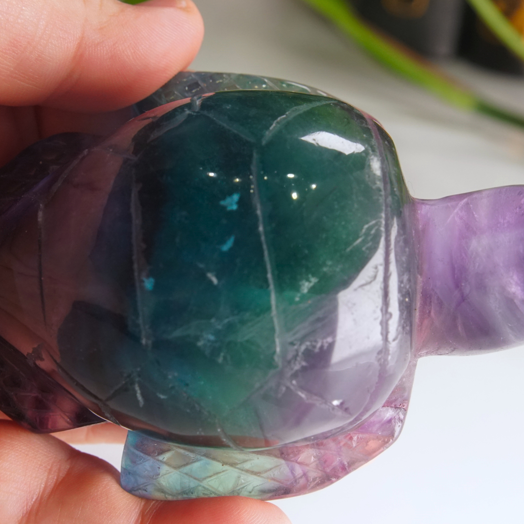 Rainbow Fluorite Turtle Carving | Pick Your Favorite (REPAIRED)