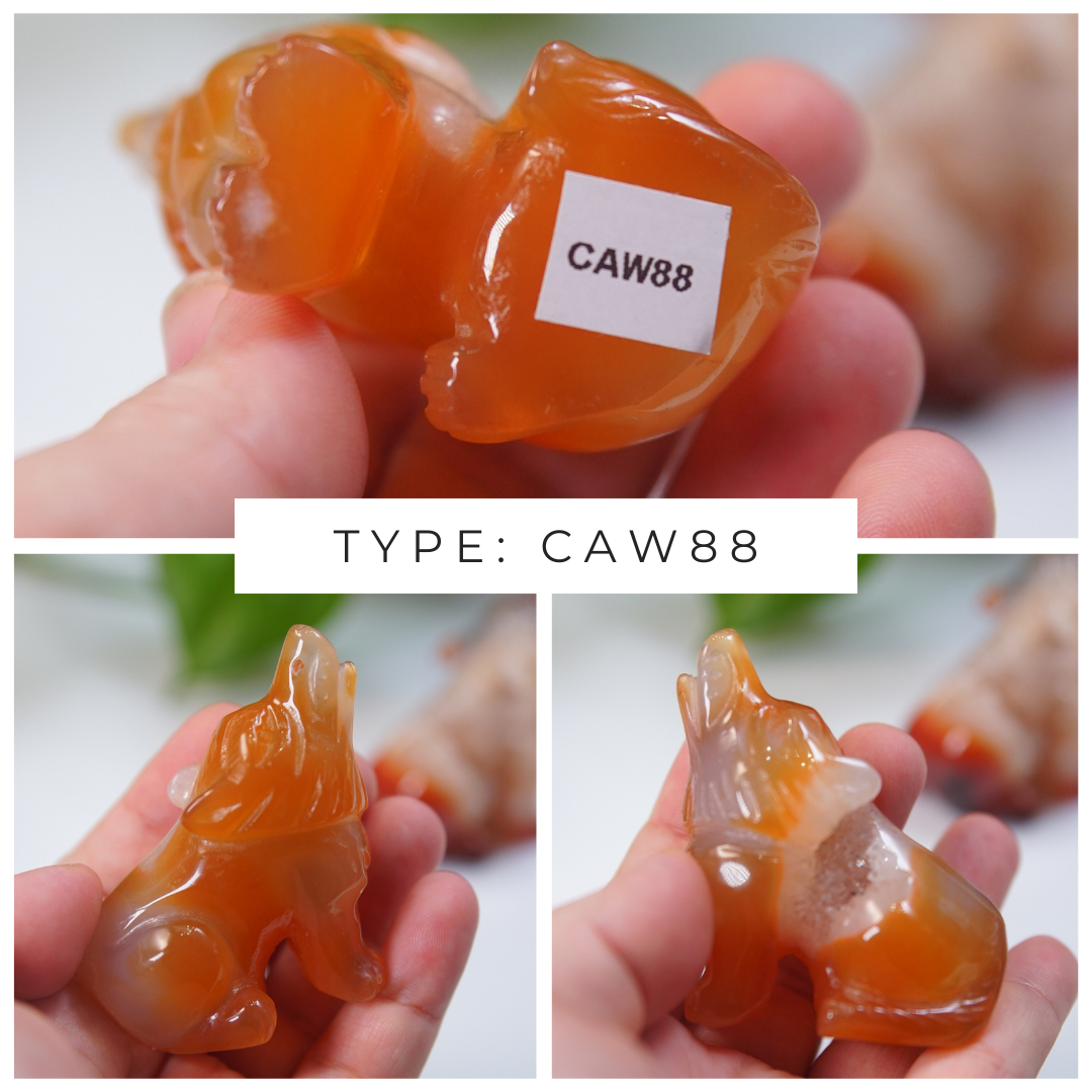 Druzy Carnelian Wolf Boutique Carvings