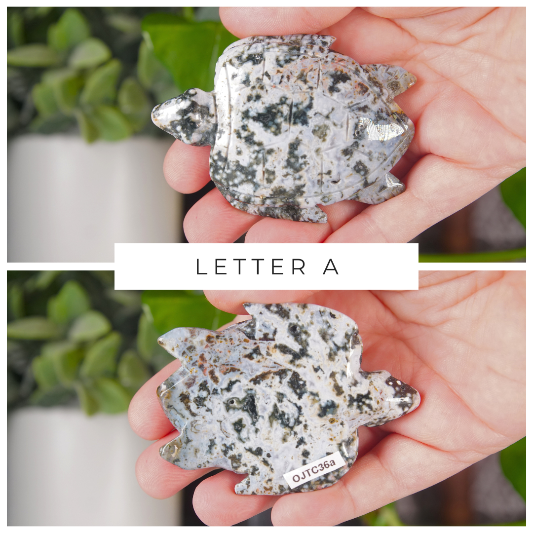 Ocean Jasper Hand Carved Small Sea Turtles | Pick Your Favorite