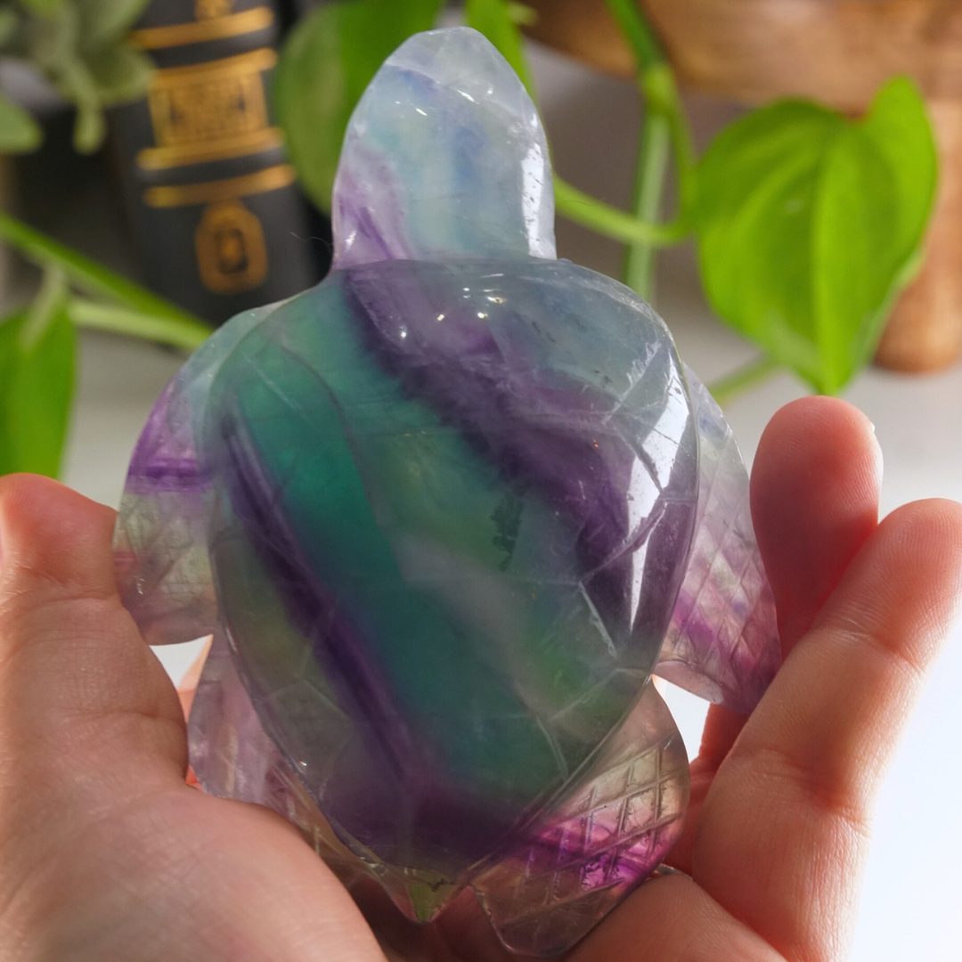 Rainbow Fluorite Turtle Carving | Pick Your Favorite