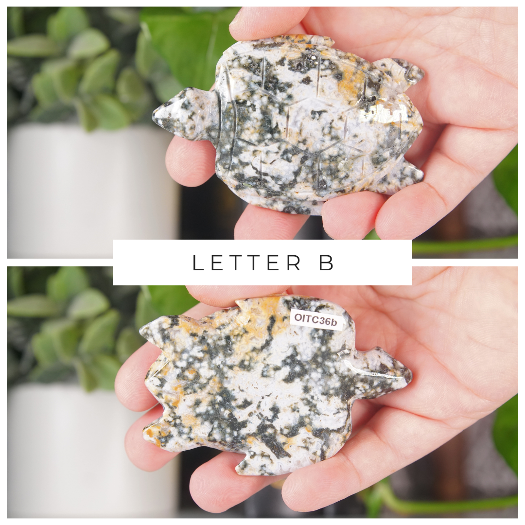 Ocean Jasper Hand Carved Small Sea Turtles | Pick Your Favorite