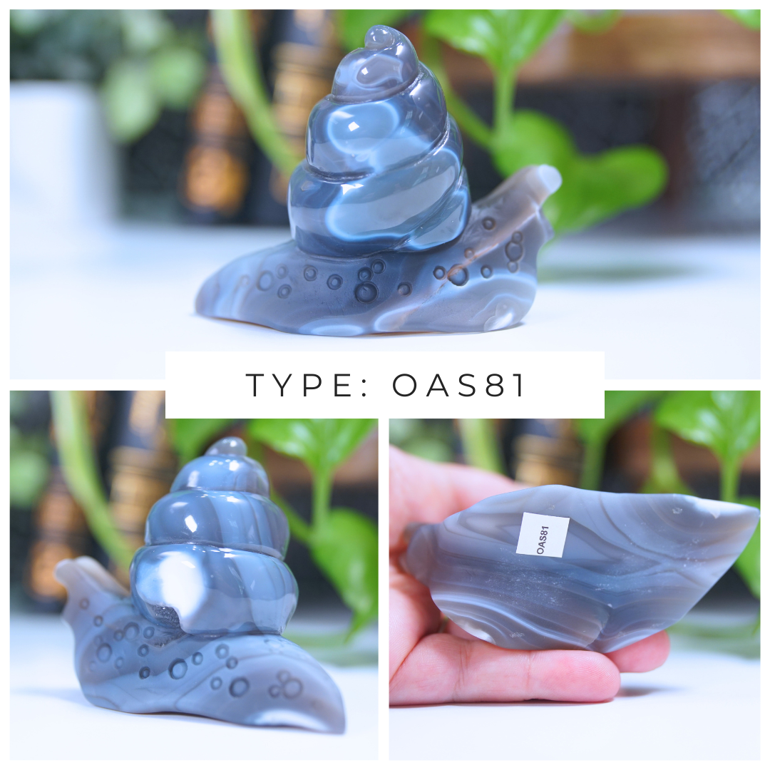 Orca Agate Snails Boutique Carvings