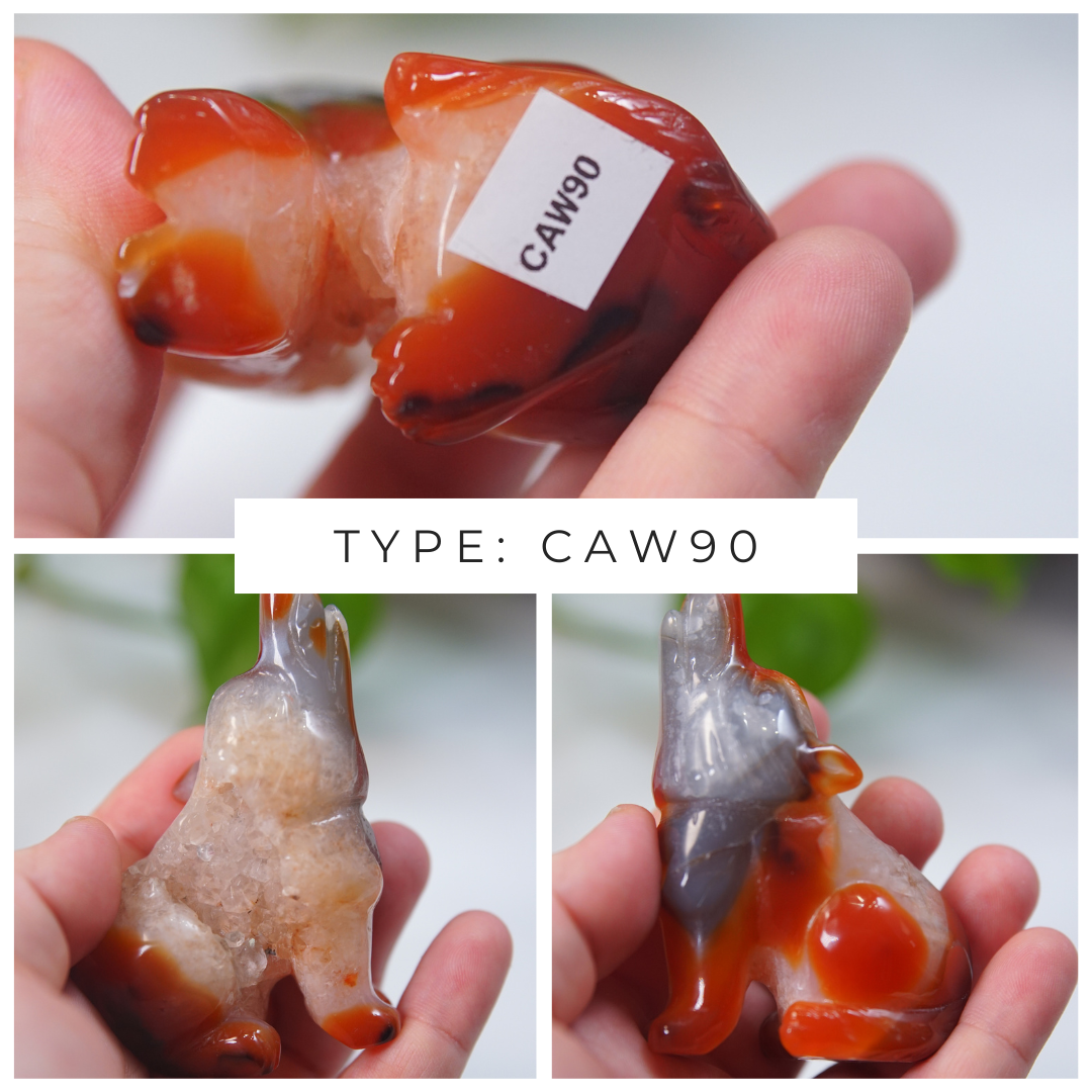 Druzy Carnelian Wolf Boutique Carvings