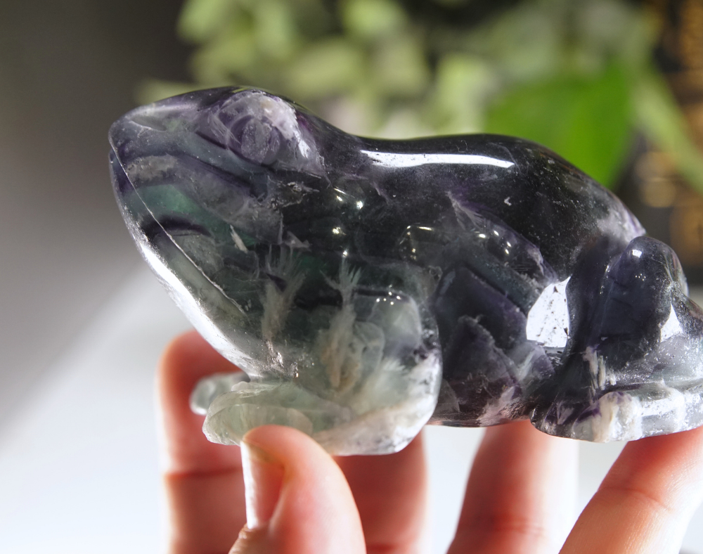 Rainbow Feather Fluorite Frog Carving | Pick Your Favorite