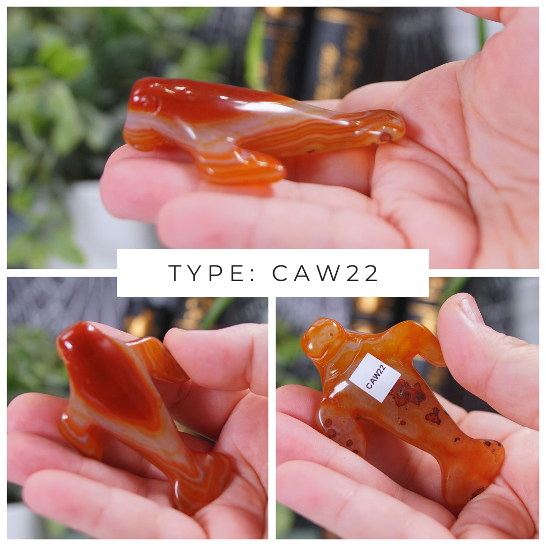 Carnelian Manatee Boutique Carvings