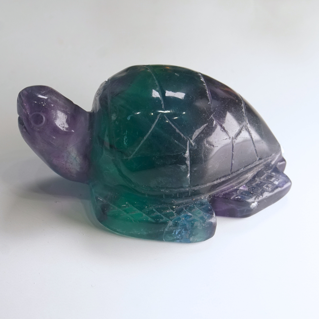 Rainbow Fluorite Turtle Carving | Pick Your Favorite (REPAIRED)