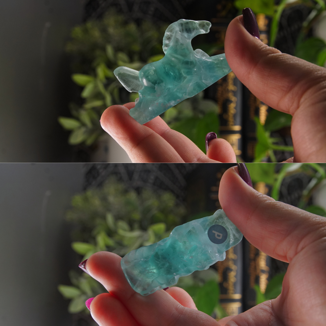 Rainbow Fluorite Horse Carving | Pick Your Favorite