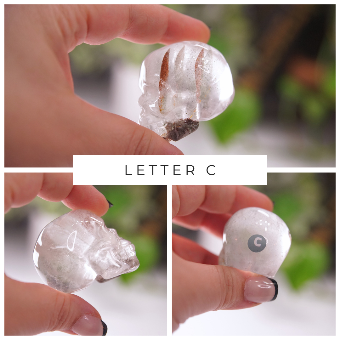 Garden Quartz Skulls Lodolite With Inclusions Crystal Carving (Medium)