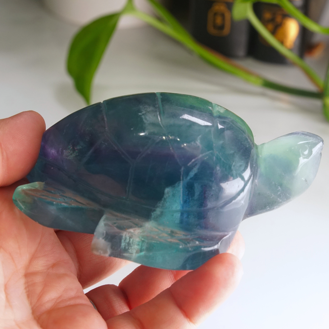 Rainbow Fluorite Turtle Carving | Pick Your Favorite