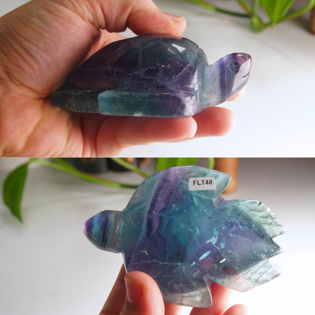 Rainbow Fluorite Turtle Carving | Pick Your Favorite