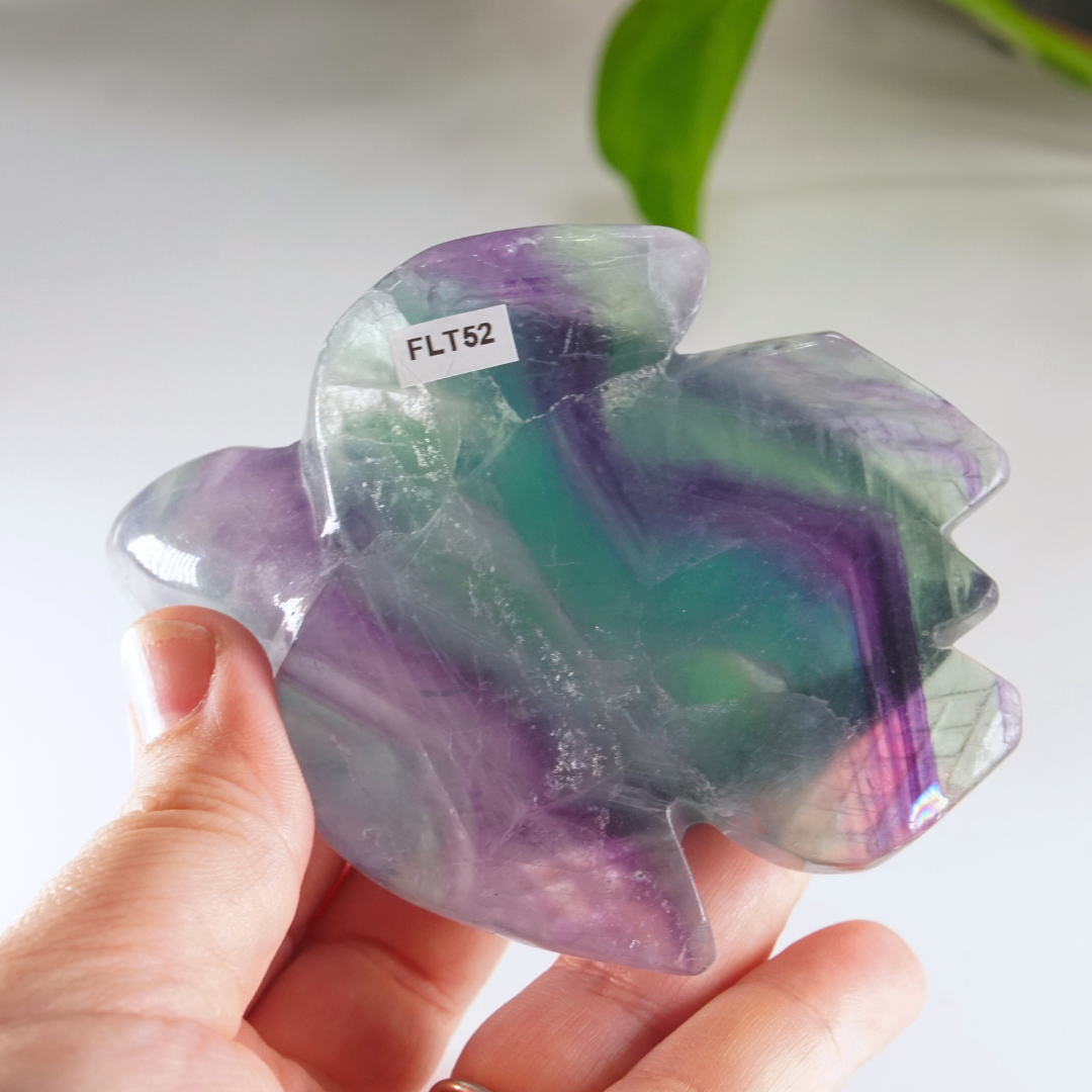 Rainbow Fluorite Turtle Carving | Pick Your Favorite