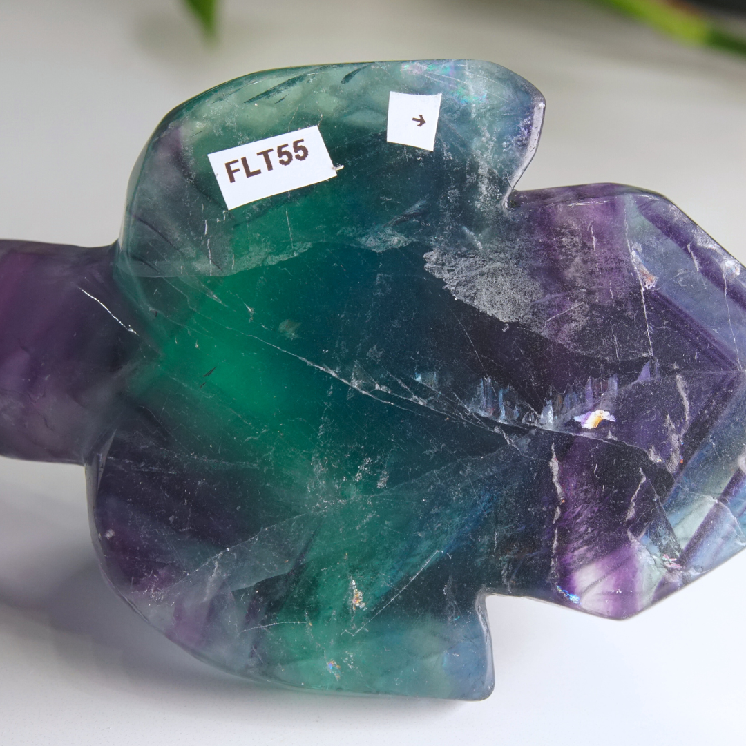 Rainbow Fluorite Turtle Carving | Pick Your Favorite (REPAIRED)