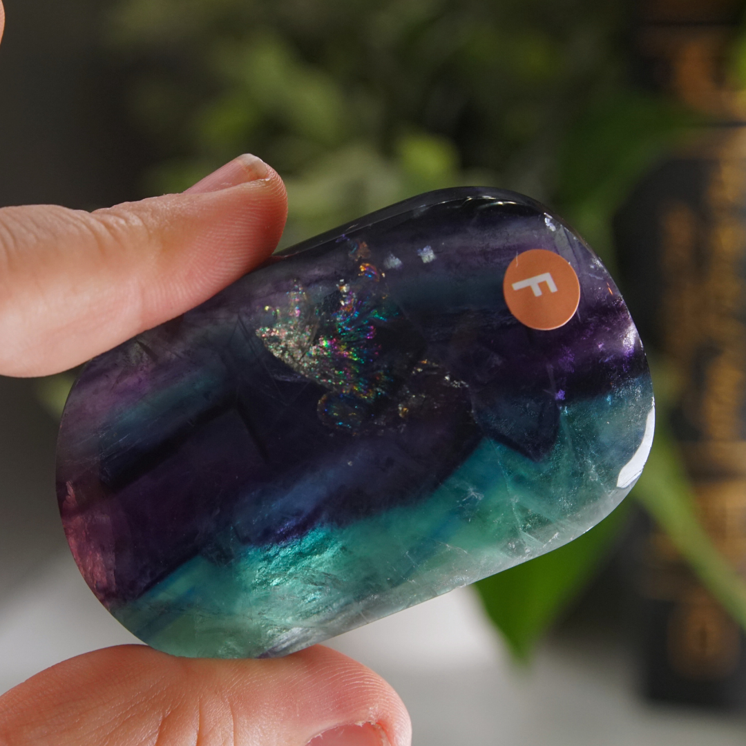 Rainbow Fluorite Palm Stone | High Quality Glassy Fluorite Palm Stone (F)