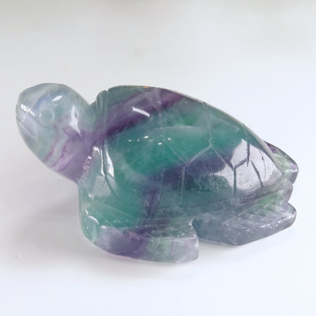 Rainbow Fluorite Turtle Carving | Pick Your Favorite