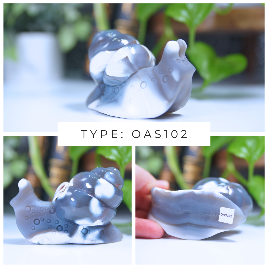 Orca Agate Snails Boutique Carvings