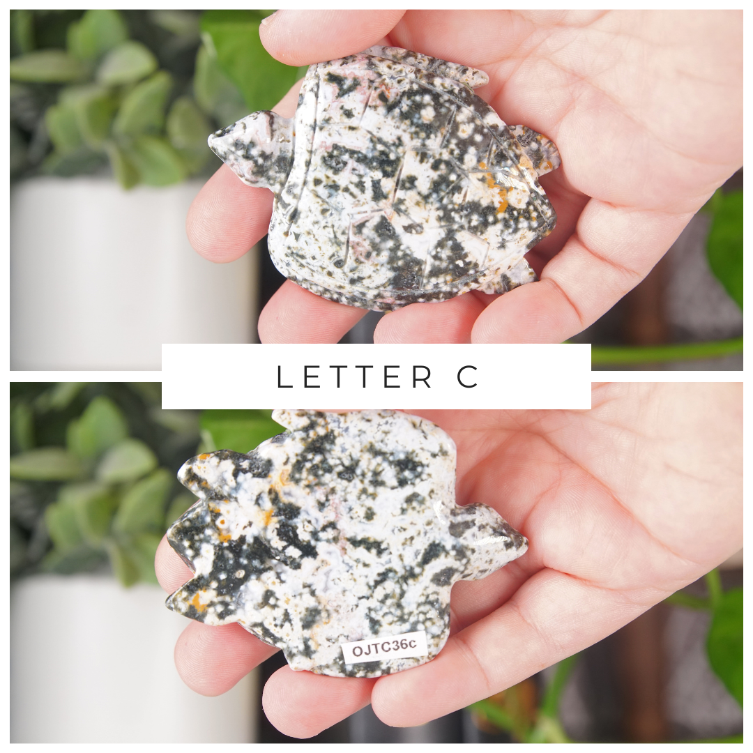 Ocean Jasper Hand Carved Small Sea Turtles | Pick Your Favorite