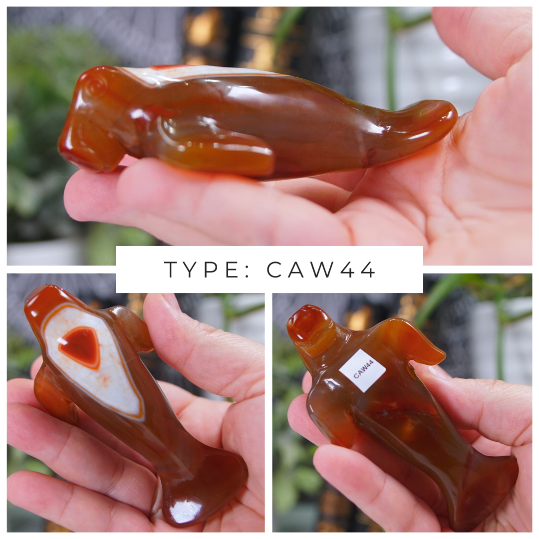Carnelian Manatee Boutique Carvings