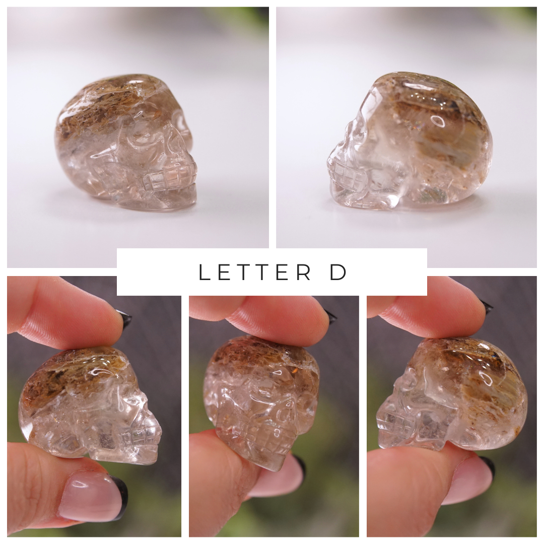 Garden Quartz Skulls Lodolite With Inclusions Crystal Carving (Mini)