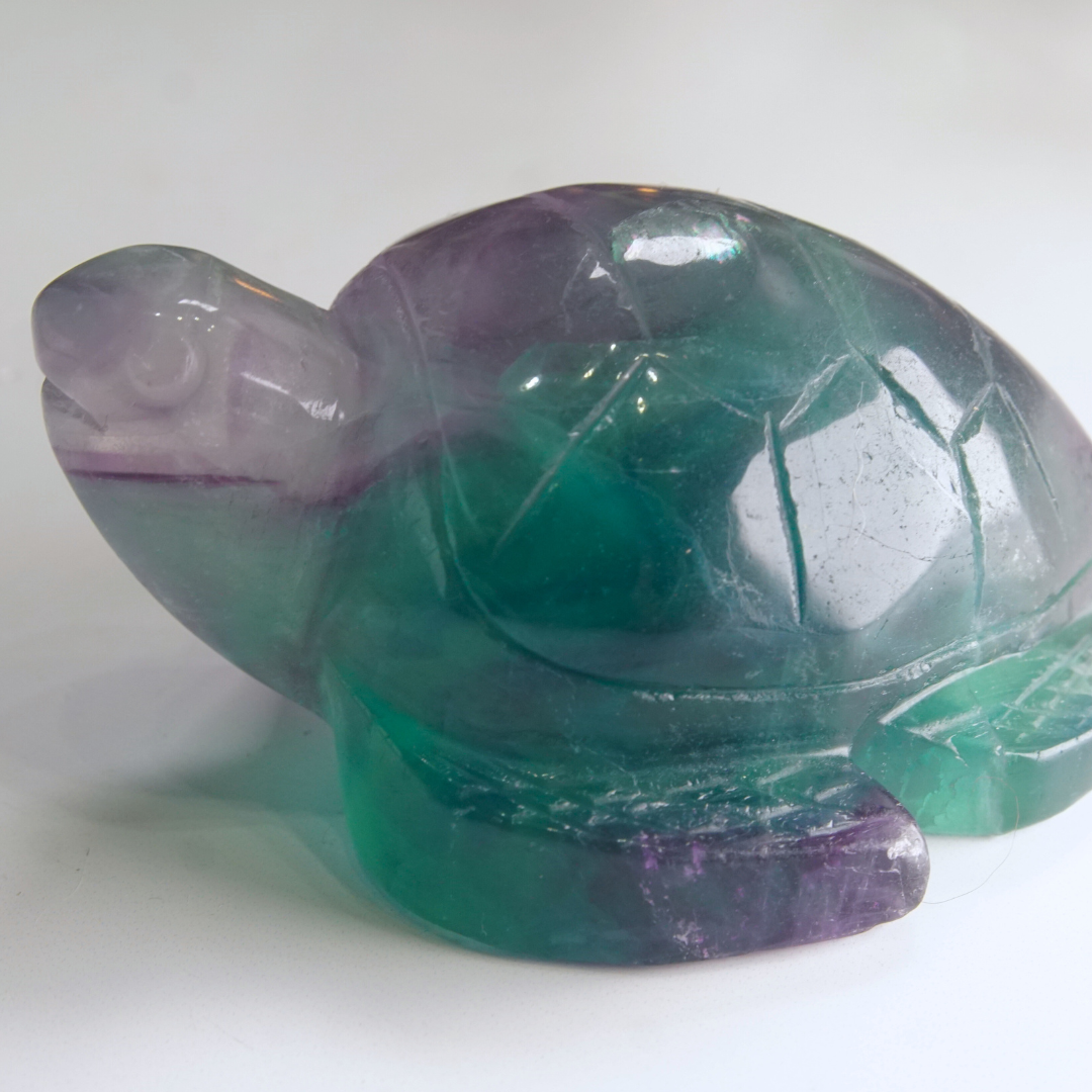 Rainbow Fluorite Turtle Carving | Pick Your Favorite