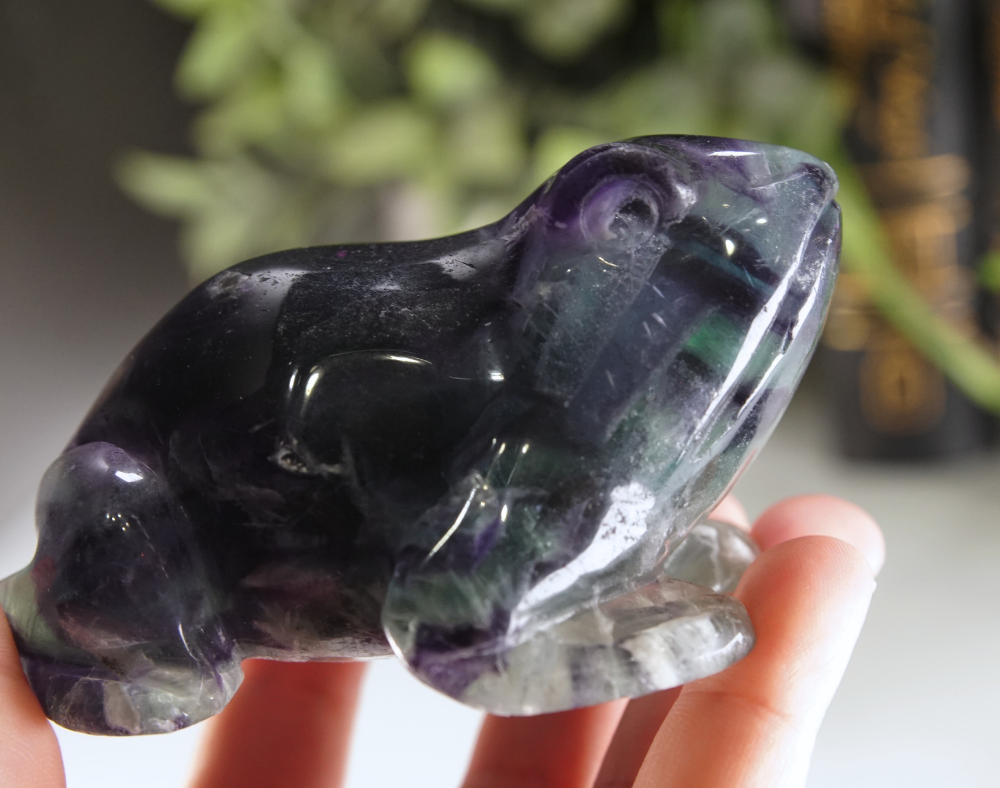 Rainbow Feather Fluorite Frog Carving | Pick Your Favorite