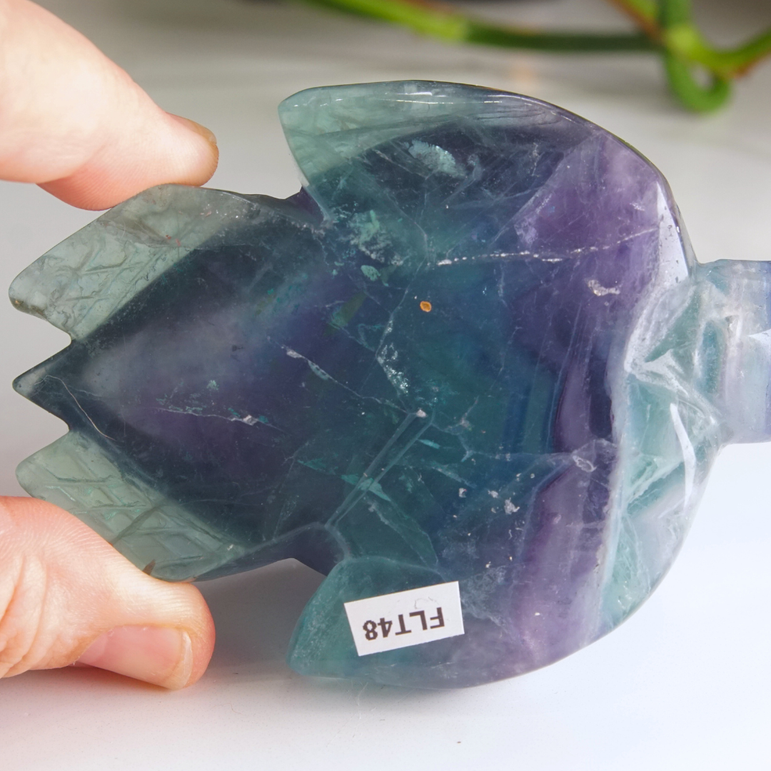 Rainbow Fluorite Turtle Carving | Pick Your Favorite