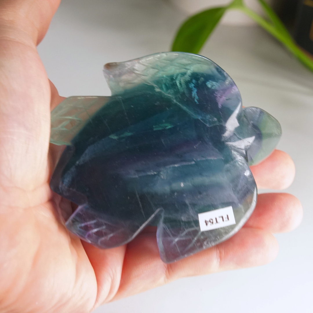 Rainbow Fluorite Turtle Carving | Pick Your Favorite