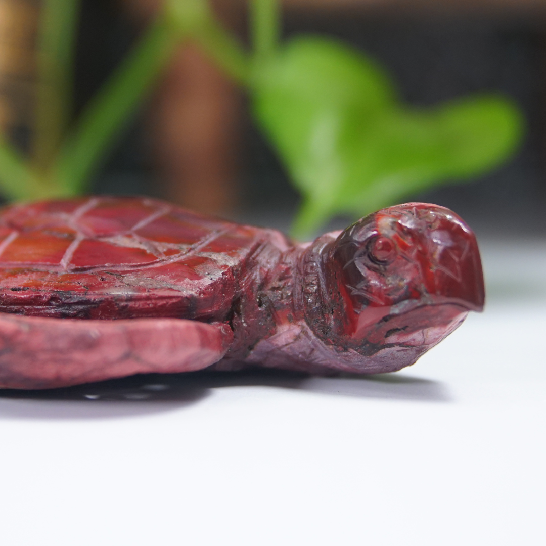 Mookaite Sea Turtle Boutique Carving (with Stand)
