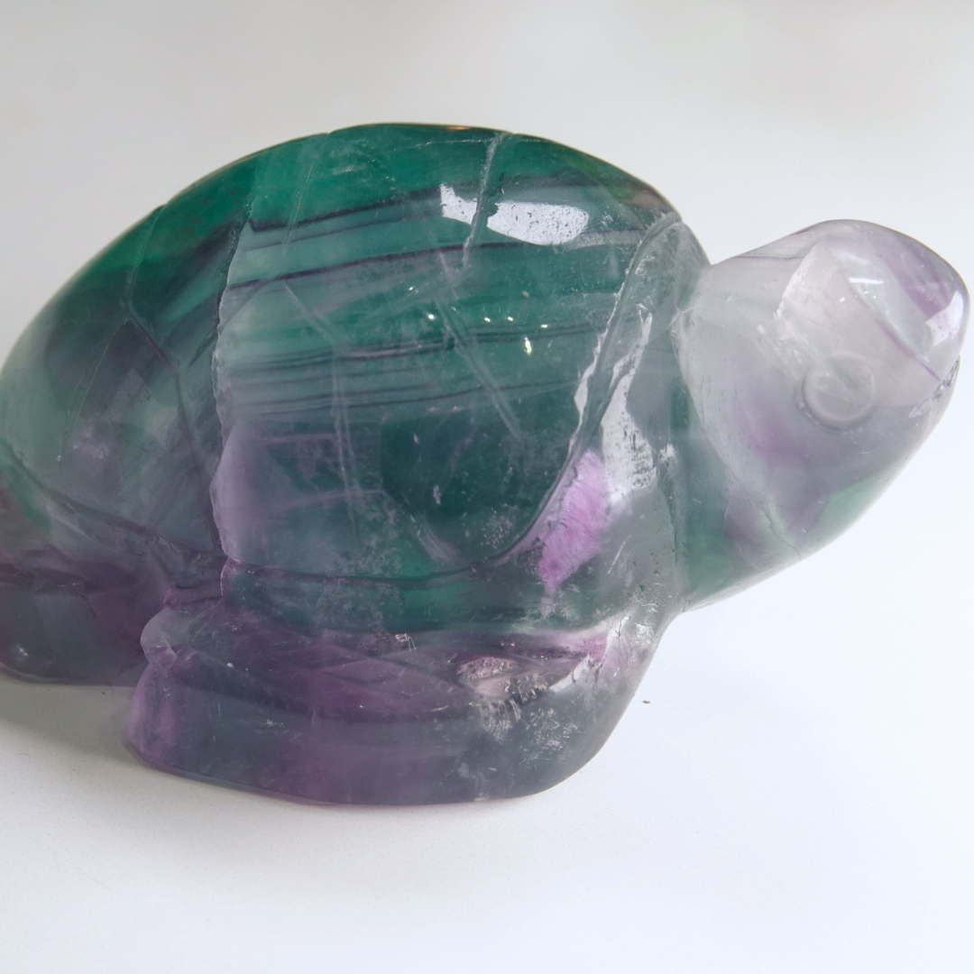 Rainbow Fluorite Turtle Carving | Pick Your Favorite