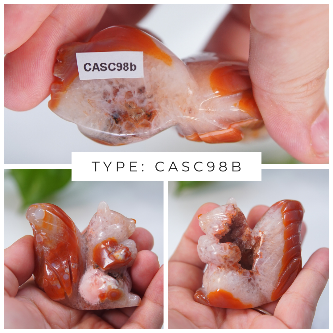Druzy Carnelian Squirrel Boutique Carvings