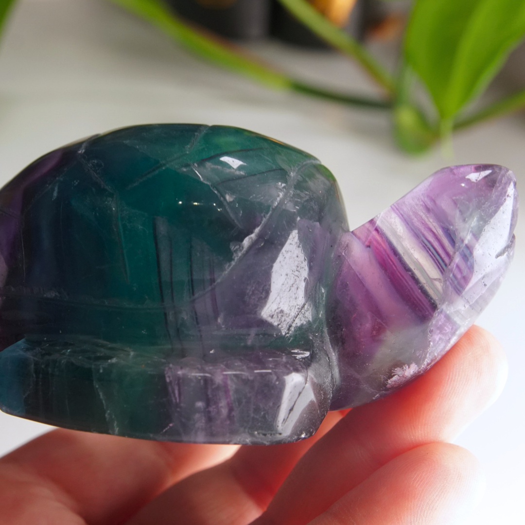 Rainbow Fluorite Turtle Carving | Pick Your Favorite (REPAIRED)