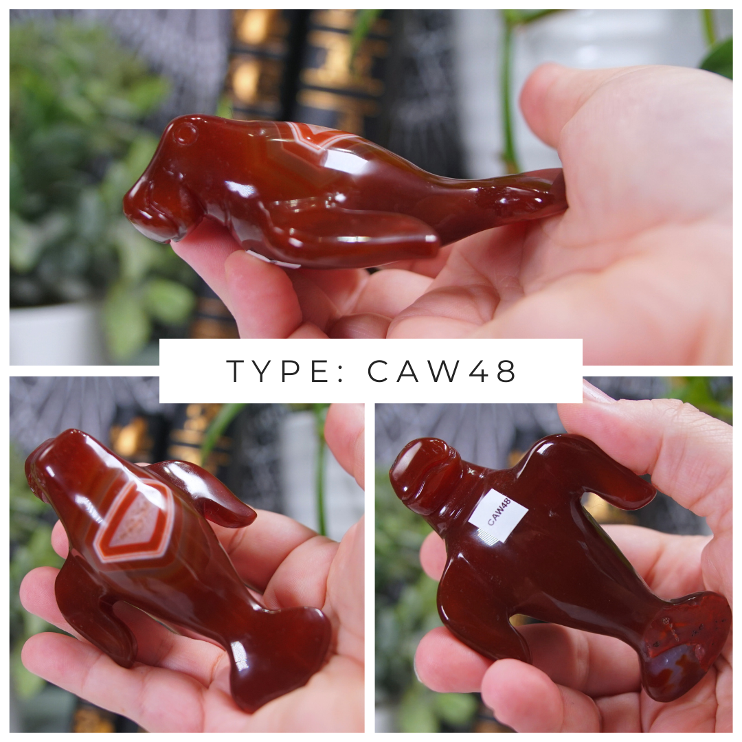 Carnelian Manatee Boutique Carvings