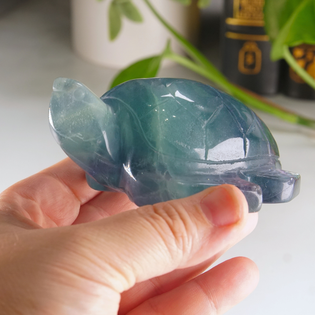 Rainbow Fluorite Turtle Carving | Pick Your Favorite