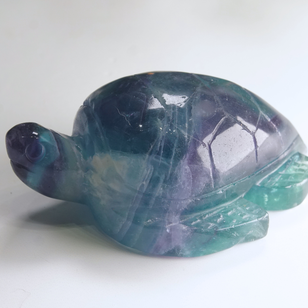 Rainbow Fluorite Turtle Carving | Pick Your Favorite