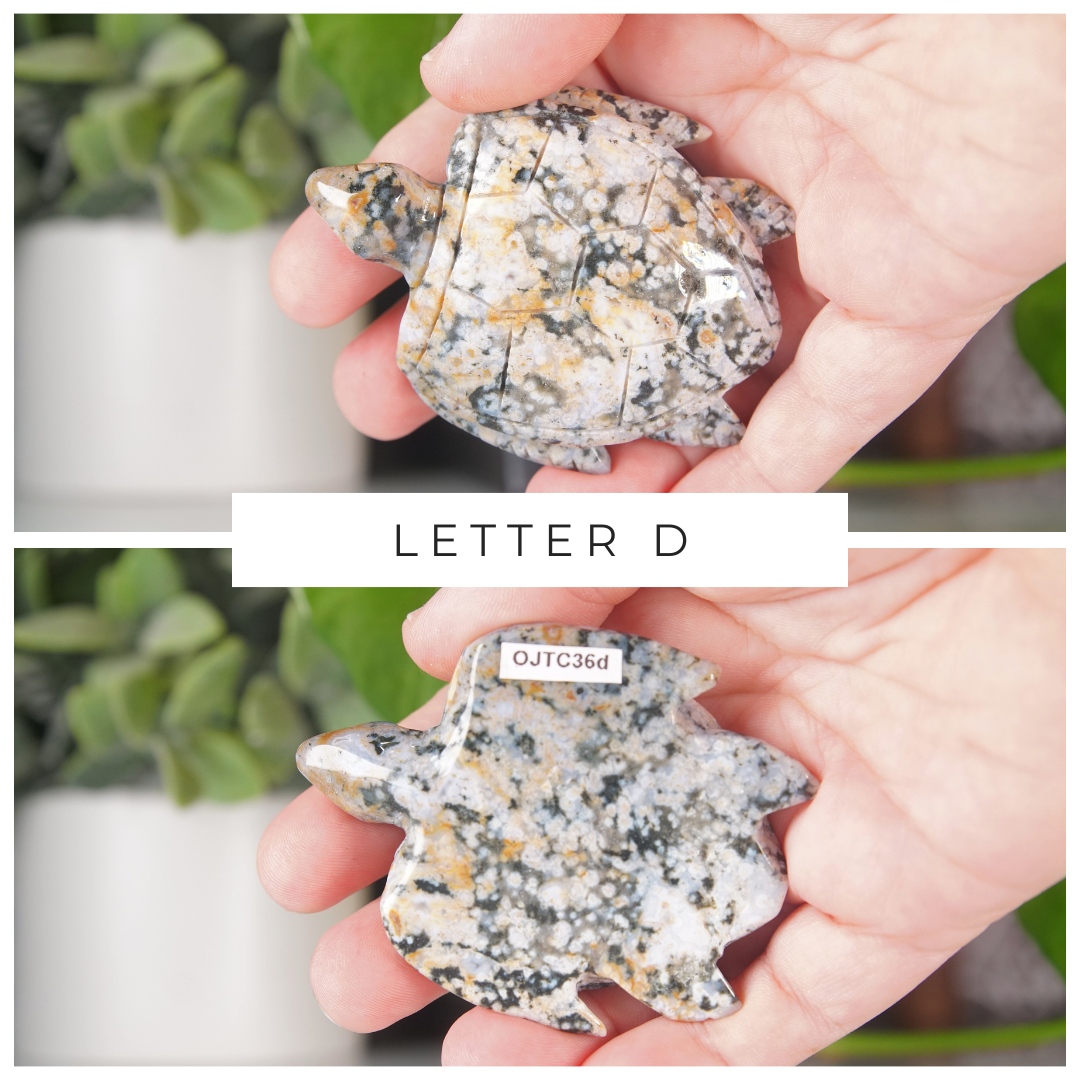 Ocean Jasper Hand Carved Small Sea Turtles | Pick Your Favorite