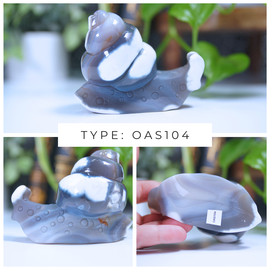 Orca Agate Snails Boutique Carvings